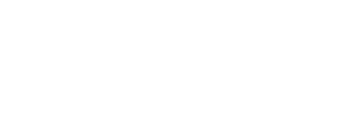 Logo Primary white